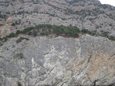 Прикрепленное изображение: IMG_0450.JPG